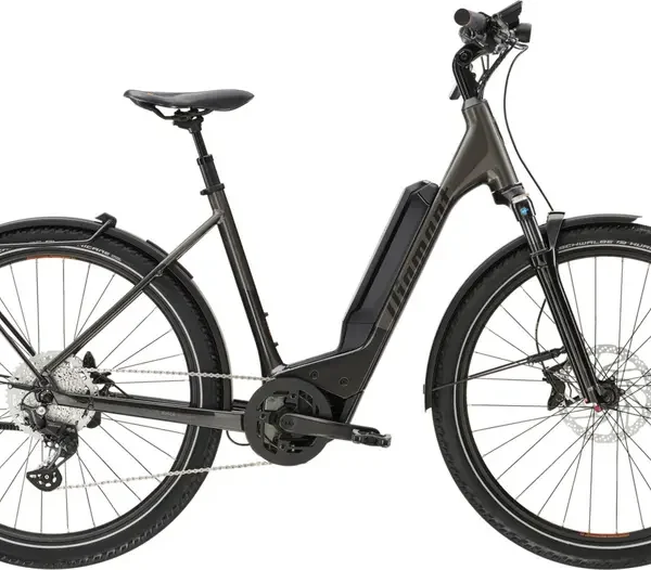 Vélo électrique DIAMANT 138 Wave 545Wh
