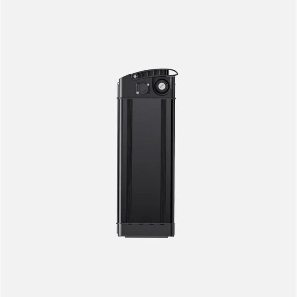 Batterie Vélo Électrique Engwe T14