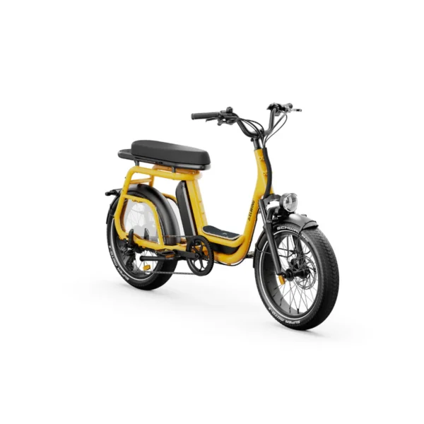 Elwing Ritmic Duo vélo électrique cargo biplace