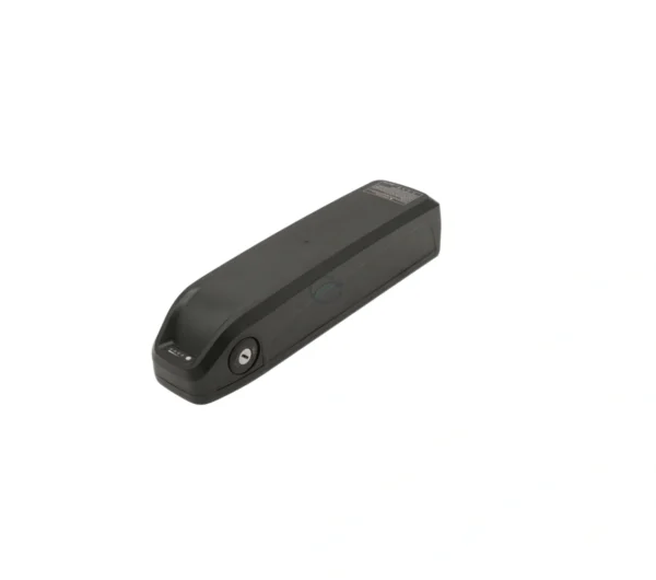 Batterie Rad Power Accu 48V 10.5Ah Compatible