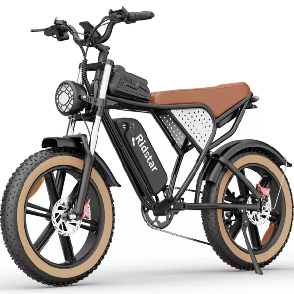 Vélo électrique Ridstar Q20 1500 W
