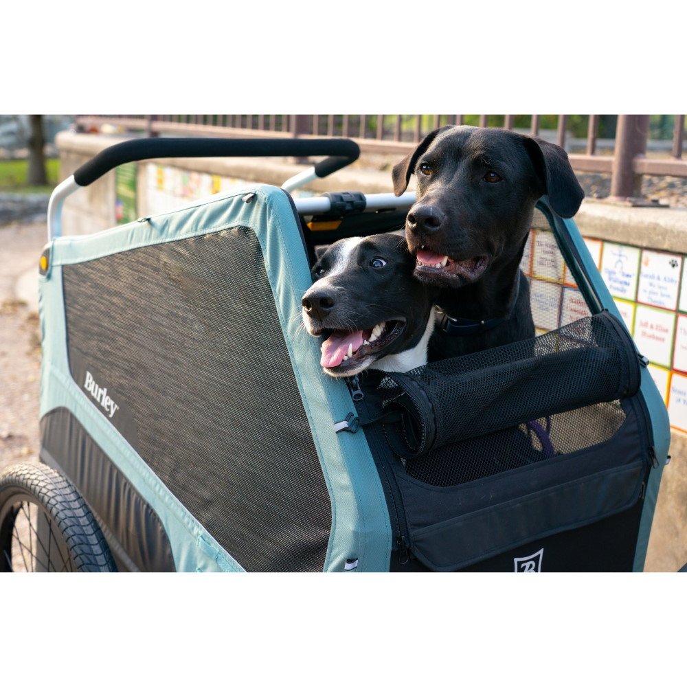 Remorque vélo pour chien Burley Bark Ranger XL - noir/turquoise mat – Image 6