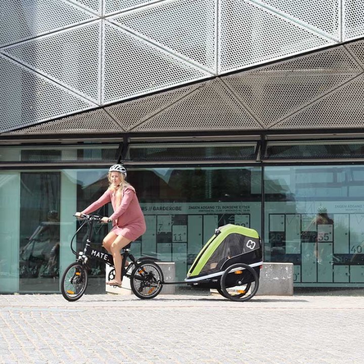Remorque enfant velo Hamax pour 2 Enfants - Avenida - vert olive – Image 3