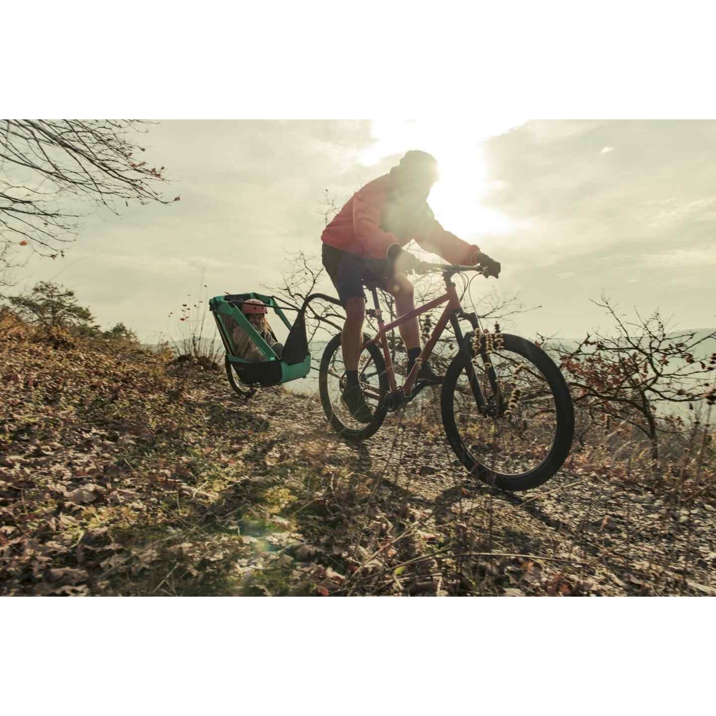 Remorque vélo charge 200 kg - Singletrailer II Sport - caribbean green – Image 9
